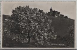 Fechy - L'Eglise - Photo: Perrochet No. 8861 - Féchy