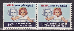 USA  POLIO ELIZABETH KENNY FOUNDATION Health Vignette Charity Seals Seal Label Poster Stamp - Ohne Zuordnung