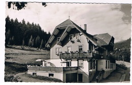 D-7375      ALPERSBACH : Gasthaus Und Pension Zur Esche - Hinterzarten