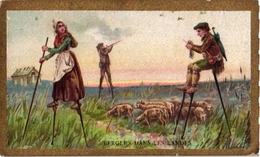 5 Trade Cards Stilt Walking ECHASSES Stelzen Landes De Gascogne Berger Landais Pub  Amidon Remy DEP Landes - Sonstige & Ohne Zuordnung