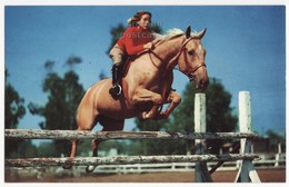 COWGIRL RIDING HORSE, BLUEBLOOD HURDLE JUMPER - AMERICAN WESTERN SCENE C1960s Vintage Postcard - Autres & Non Classés