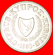 § SILVER BOWL: CYPRUS ★ 5 CENTS 1993! LOW START★ NO RESERVE! - Chypre