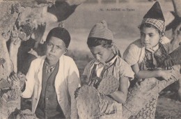 Algérie - Portrait Jeunes Enfants - Algérie - Fillette - Cactus - Children