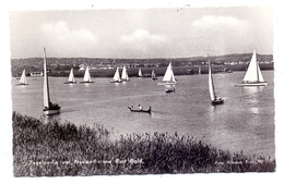 A 7071 RUST, Segelpartie Auf Dem Neusiedler See - Neusiedlerseeorte