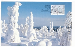 Philatelic Exhibition Postcard Mountain Hare Lepus Timidus - 6-9 November 1997 Frimærker I Forum - Maximumkaarten