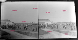 Trois Plaques Stereo Neg 7x13, Maroc : Vues Diverses , Début 19e  (B513-2, Mar7) - Landbouw