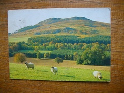 Little Sugar Loaf Mountain , Co. Wicklow - Otros & Sin Clasificación