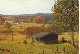 Iveldingen Montenau (amel - Saint-Vith - Sankt Vith