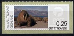 GREENLAND (2011) - Fauna - Morse / Walrus / Walross / Hvalros/ Morsa - Odobenus Rosmarus (M037) - Automatenmarken