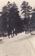 Estes Park Colorado, Indian Hills Winter Snow Scene C1900s/10s Vintage Real Photo Postcard - Rocky Mountains