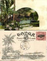 Tonga Islands, TAFUMAHINA, Palm Trees (1909) Pre-Printed Stamp - Tonga