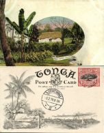 Tonga Islands, Pineapple Plantation (1909) Pre-Printed Stamp - Tonga