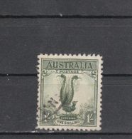 Australie YT 88 Obl : Oiseau-lyre - 1932 - Oblitérés