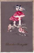 HAPPY NEW YEAR Mushrooms Fly-agaric Bird Robin HWB Edit 1928 - Mushrooms