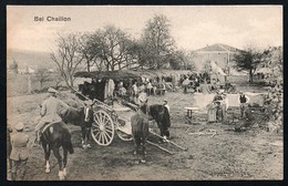 0543 - Cartes Postales Anciennes - En Chaillon - Chevaux WW1 WW - TOP - Vigneulles Les Hattonchatel