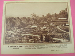 Grde Image Pédagogique/31 X 24 Cm/France D'Outremer/ Plantation De Théiers ( Annam)/G Lang/Vers 1950  GRAV209 - Autres & Non Classés