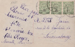 17475# LUXEMBOURG ARMOIRIES VARIETE DE SURCHARGE EPAISSE ET FINE SUR UNE BANDE DE 3 / CARTE POSTALE FANTAISIE 1919 - Errors & Oddities