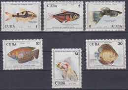 1978.12- * CUBA 1978. MNH. PECES. FISH. ACUARIO PARQUE LENIN. - Used Stamps