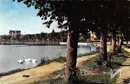 CPSM 91  VIGNEUX LE LAC ET SES CYGNES 1963 - Vigneux Sur Seine