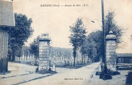 RAISMES  -  Avenue Du Bois - Raismes