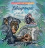 Uganda. 2012 Chimpanzee. (408b) - Chimpanzees