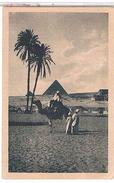 EGYPTE  THE  KING  OF  THE  DESERT   - ROI  FOUAD ?       TBE  1U925 - Pyramids