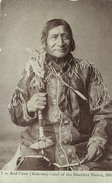 CPA  (INDIENS )  Red Crow (makesto) Chiefs Of The Blackfeet Nation 1895   (B BUR) - Amérique