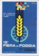 19a FIERA DI FOGGIA  1968 - NUOVA NV - Fiere