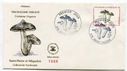 2251 - St Pierre Et Miquelon  N°497 Flore  Champignon  "Tricholome Vergeté" (Tricholoma Virgatum) FDC Du 28.1.89    TTB - FDC