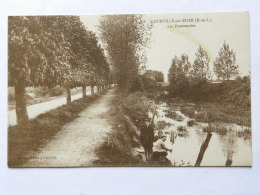 CPA (28) Eure Et Loir - COURVILLE Sur EURE - Les Promenades - Courville