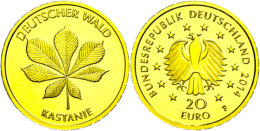 20 Euro, Gold, 2014, Kastanie, In Kapsel, Mit Zertifikat, St.  St20 Euro, Gold, 2014, Chestnut, In Capsule,... - Other & Unclassified