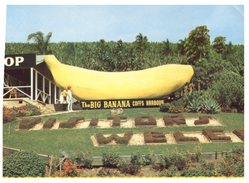 (989) Australia - NSW - Coffs Harbour And Big Banana - Coffs Harbour