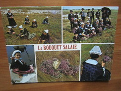 Beauvoir Sur Mer. Folklore Vendeen. Groupe Maraichin "Le Bouquet Salaie". Cueillette Au Coeur Du Marais Belverin. - Beauvoir Sur Mer