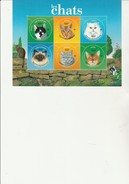 NOUVELLE- CALEDONIE - BLOC FEUILLET TIMBRES N° 923 A 928  NEUF XX  ANNEE 2004  - THEMATIQUE CHATS - Blocks & Sheetlets