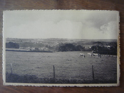 RONQUIERES ( Braine - Le - Comte ) --- Panorama - Braine-le-Comte