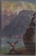 August Müller HUNT Hunter Landschaft Eagle  1906y.  D722 - Mueller, August - Munich