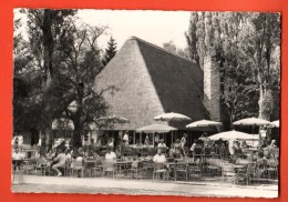 IBV-16  Park Im Grüene Rüschlikon ZH. Gelaufen In 1968. Terrasse Restaurant. Gross Format. - Rüschlikon