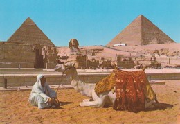 GIZA - Pyramides