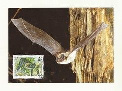 WWF BULGARIE  THEME  CHAUVES SOURIES/BATS - Bats