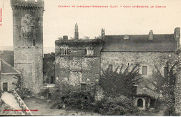 46. Chateau De Castelnau. Bretenoux. Cour Interieur Le Donjon - Bretenoux