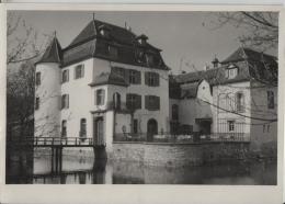 Schloss Bottmingen - Bottmingen