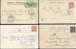 MARTINIQUE FRENCH WEST INDIES MARITIME PALM TREES - Covers & Documents