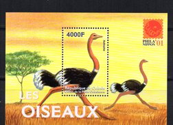 Hb-210R Guinee - Ostriches