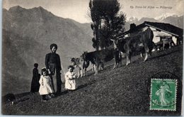 FOLKLORE  -- Les Alpes  -- Dans Les Alpes - Paturage - Other & Unclassified