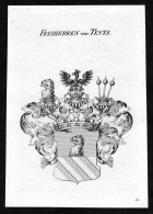 Freiherren Von Testa - Testa Wappen Adel Coat Of Arms Kupferstich  Heraldry Heraldik - Estampas & Grabados
