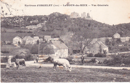 Environs D'ORGELET - LA COUR DE MEIX - Vue Générale - Orgelet