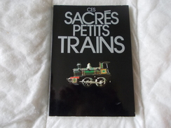 Ces Sacrés Petits Trains - Modélisme