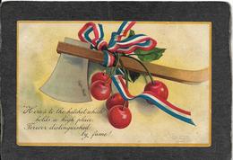 George Washington's Hatchet ,Garre 1910 - Ellen Clapsaddle Antique Postcard - Clapsaddle