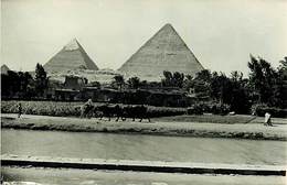 Pays Div-ref H808- Egypte - Egypt -carte Photo Pyramides - Photo Postcard - Carte Bon Etat  - - Pyramiden