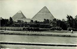 Pays Div-ref H808- Egypte - Egypt -carte Photo Pyramides - Photo Postcard - Carte Bon Etat  - - Piramiden